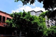 大足城区