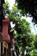 大足城区