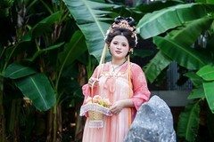 【芭蕉影里醉春风】--- 小李