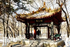 冬逛新华园（2）