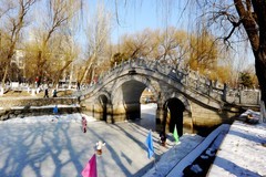 冬逛新华园（2）