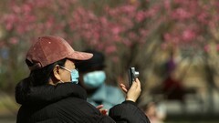 春节游园赏梅花