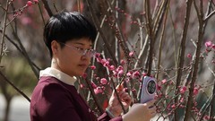 春节游园赏梅花