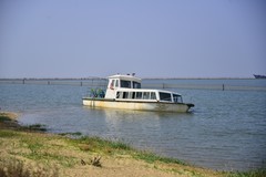 夏日骑行随手拍