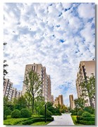 小区随拍（一）