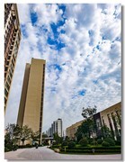 小区随拍（一）