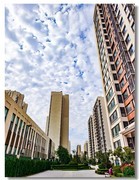 小区随拍（一）