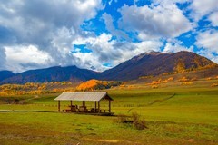 北疆禾木村风景14