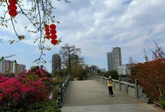 东山湖的冬色。