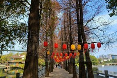 东山湖的冬色。