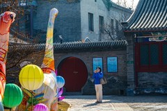 灯展—4(马年到-祝广大影友马年吉祥，万事如意，阖家幸福)