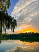 2025年- 陶然亭公园纪实拍-0941