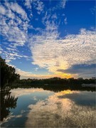 2025年- 陶然亭公园纪实拍-0941