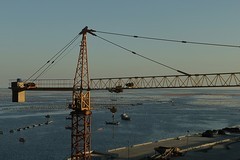 滨城游拍——海洋牧场（2025）