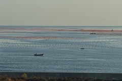 滨城游拍——海洋牧场（2025）