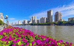 26057] 沿江西路的江边