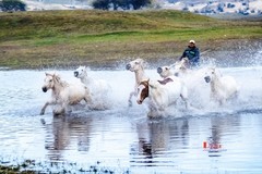 慢门 飞马踏水（12）
