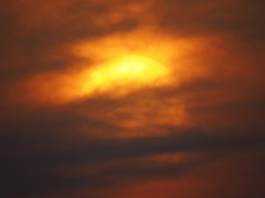 海雾蒙蒙的西炮台落日