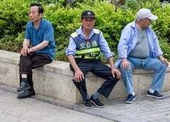 庐州印象（656）