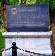 1627【不老松：纪实摄影】 大运河畔：河北沧州黄河路至海河路段！ (17)岸边花果：栾树