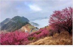 2026年- 大美中国风光纪实抓拍-0367