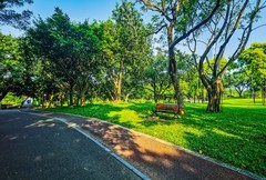 深圳笔架山公园 掠影