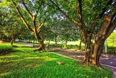 深圳笔架山公园 掠影