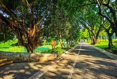 深圳笔架山公园 掠影