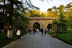 拍照狂魔之-秋日明孝陵壹【10P】