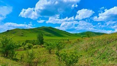 天苍苍，野茫茫，风吹草地见牛羊—大美呼伦贝尔