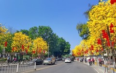 26058] 洲头咀环岛路