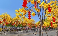 26058] 洲头咀环岛路