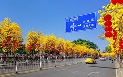 26058] 洲头咀环岛路