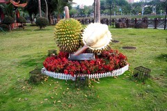 南方行——保亭随拍（完）