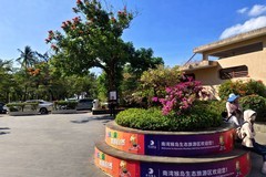 手机——三亚随拍