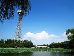秋色美景无可奈何时间飞逝