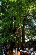 【镜头里】第1728号：北京潭拓寺（六）