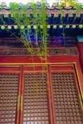 【镜头里】第1728号：北京潭拓寺（六）