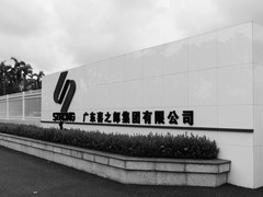 杂拍