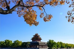 2025年第0818贴-故宫筒子河畔纪实拍（1124）