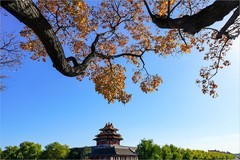 2025年第0818贴-故宫筒子河畔纪实拍（1124）