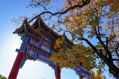 2025年第0818贴-故宫筒子河畔纪实拍（1124）