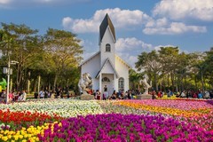 马年郁金香年度展香满园