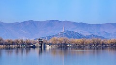 2026011 春节游颐和园随拍