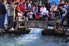 墨泉