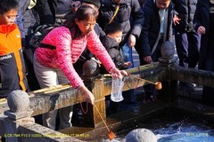 墨泉