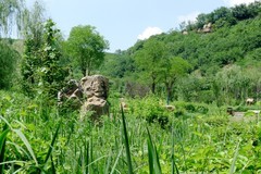 乡村小景2