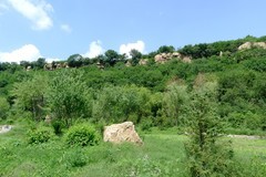 乡村小景2