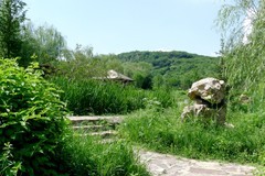 乡村小景2