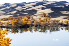 南疆行——尉犁葫芦岛的风景（31）